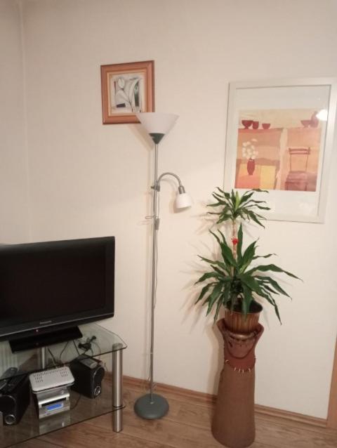 Apartament Stroma 4 Zakopane Ngoại thất bức ảnh